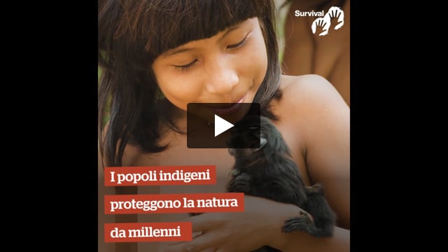 I migliori conservazionisti