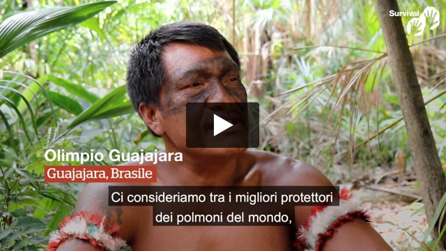 "Il mio popolo protegge sempre la foresta"