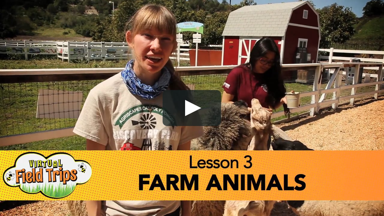 Lesson 3 - Farm Animals on Vimeo