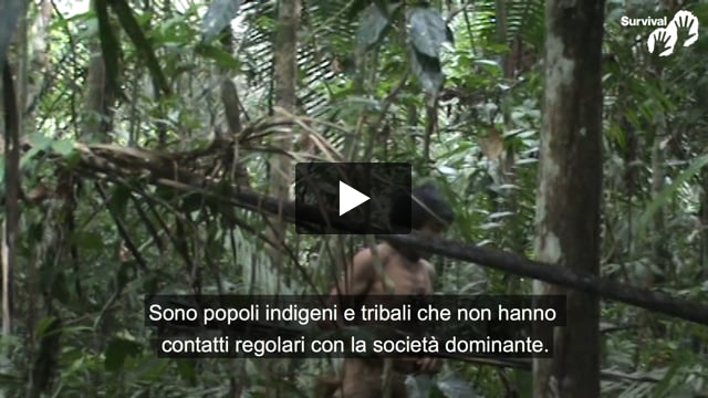 “Per le tribù incontattate è una questione di vita o di morte”