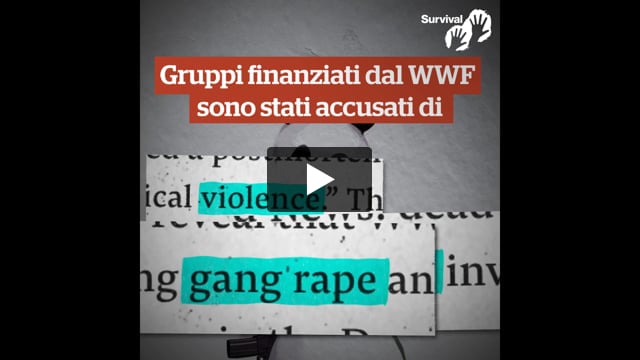 Crimini del WWF