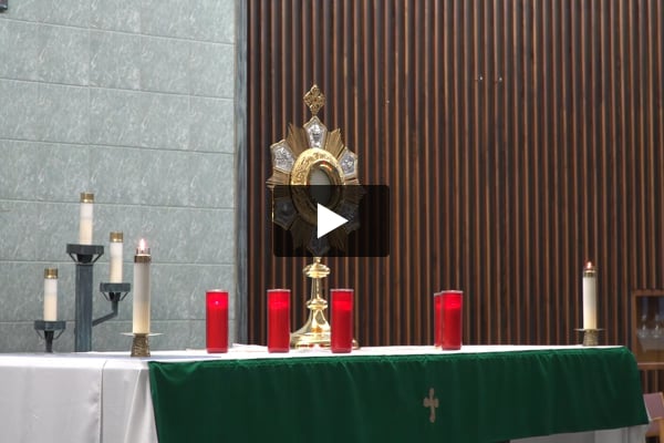 Video Image