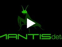 Thumbnail of Mantis Detail