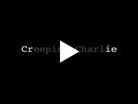 Thumbnail of Creeping Charlie