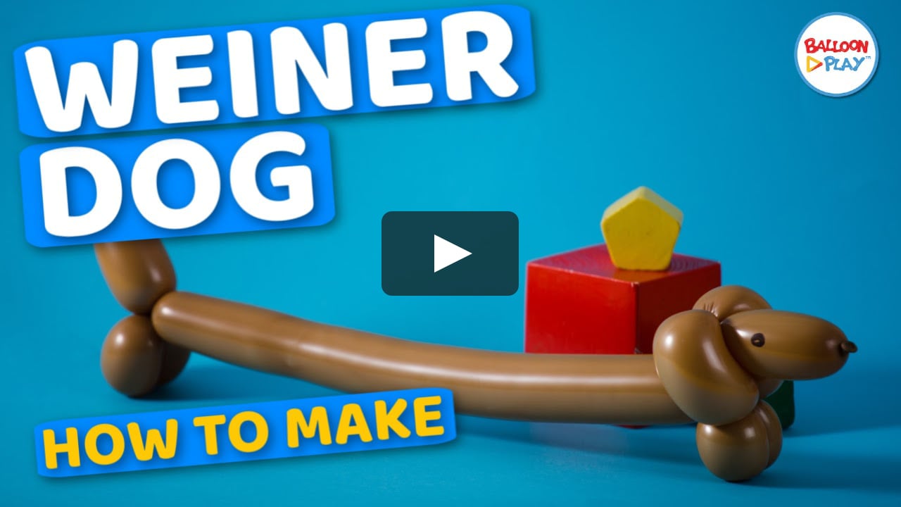 How to make One Balloon Wiener Dog Dachshund? BalloonPlay™ on Vimeo