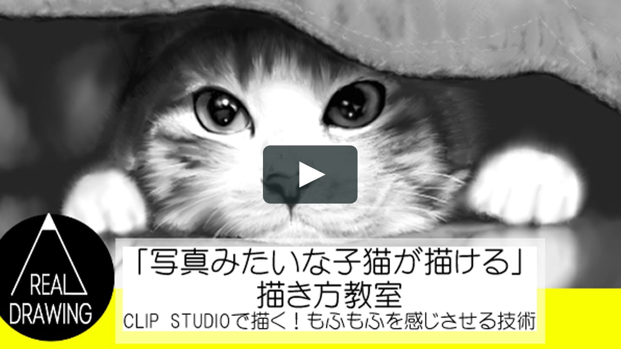 リアルな猫の描き方参考動画09 On Vimeo