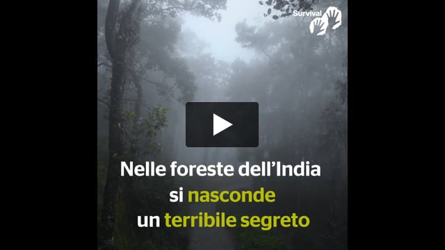 WCS: È tempo di sradicare il razzismo dalla conservazione