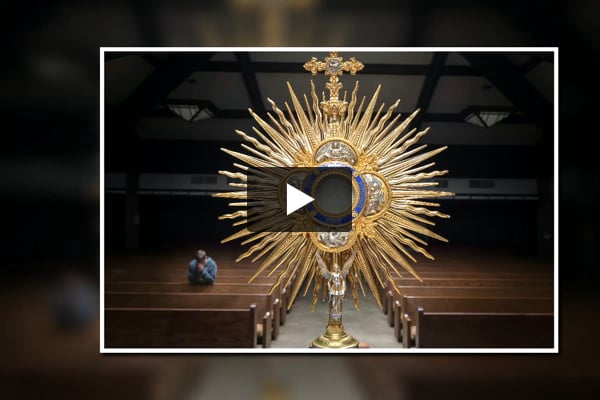 Video Image