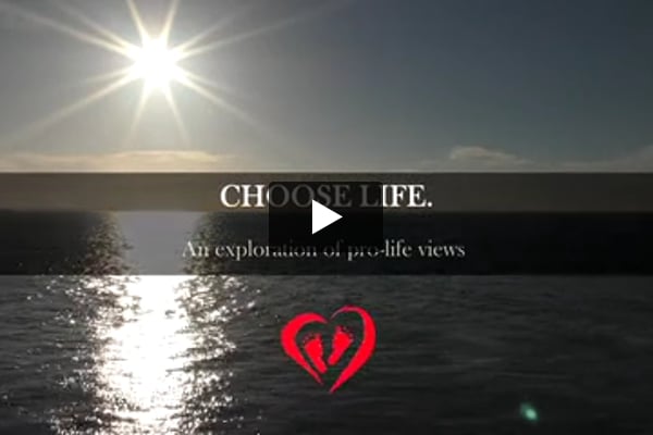 Video Image