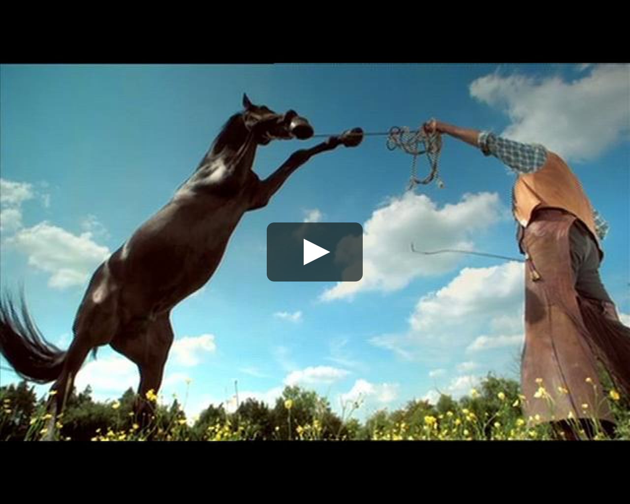 Animal Planet Horse Ident on Vimeo