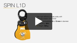 SPIN L1D