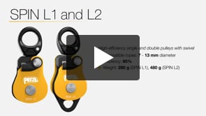 SPIN L1 and L2