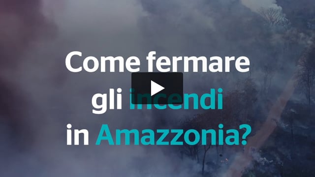 Incendi in Amazzonia: attivati!