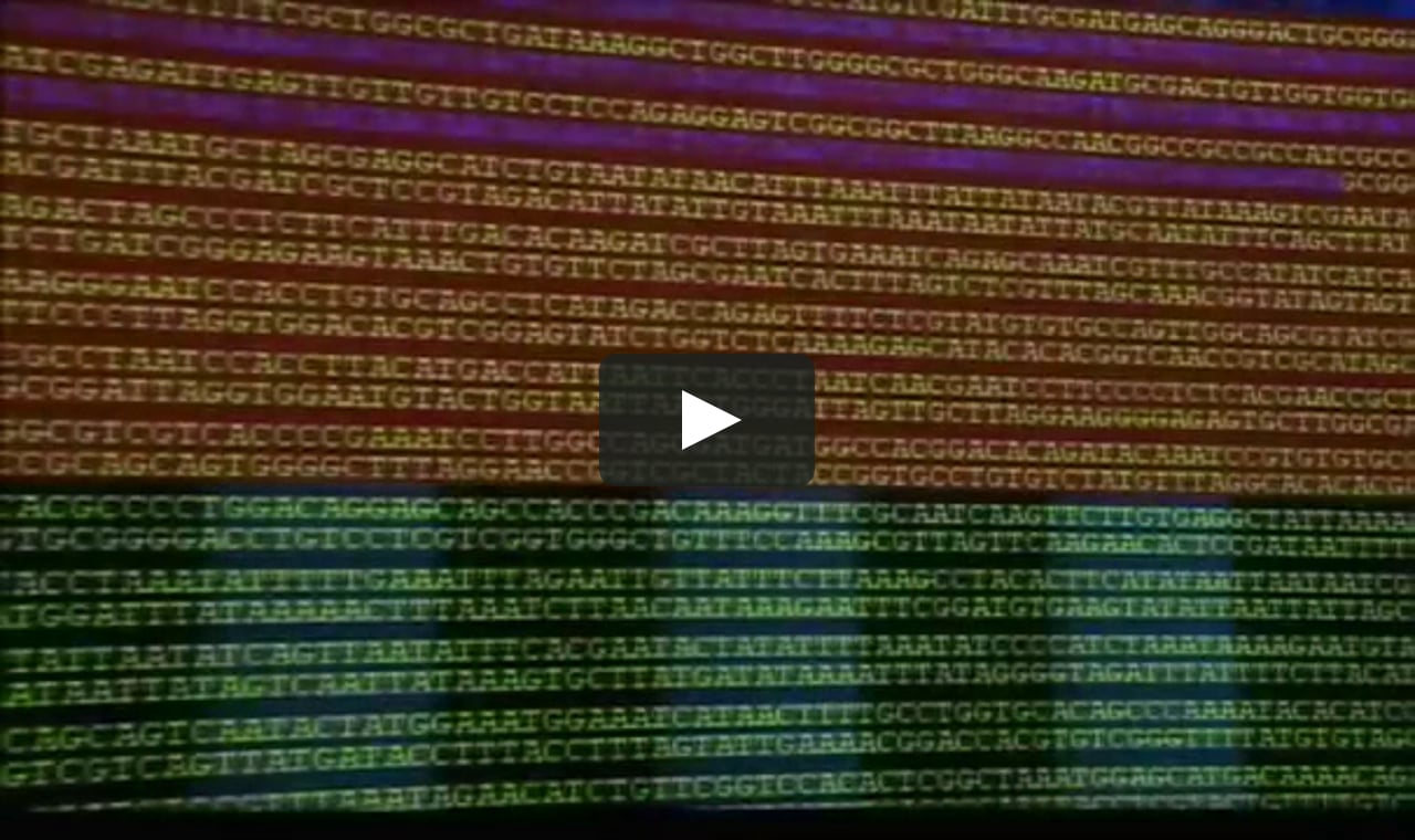 Cracking the Code of Life