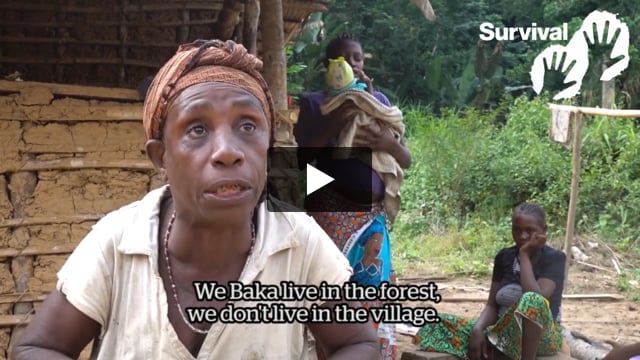 “We’ve had enough of this talk of ‘boundaries’ in the forest”