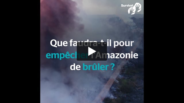 Agissez maintenant : Feux en Amazonie