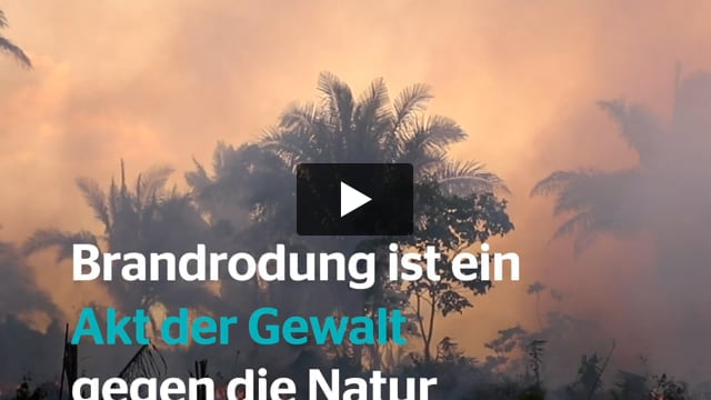 Handle jetzt - Brände im Amazonas-Gebiet stoppen