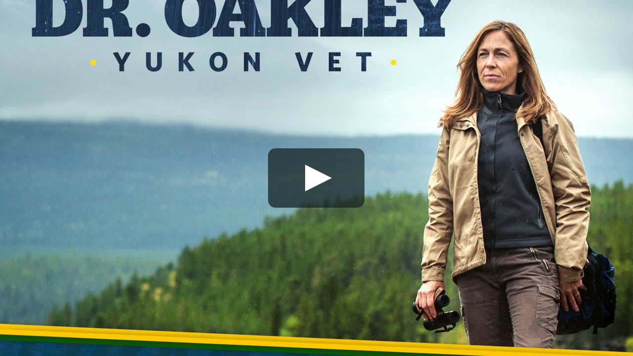 Dr. Oakley Yukon Vet Northern Lites “A Case Of The Blues” on Vimeo