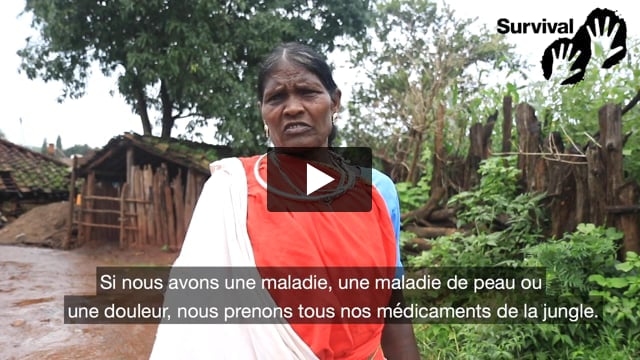 « Si la jungle nous est enlevée, comment survivrons-nous »