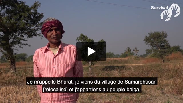 « Nous étions plus forts dans la forêt. »