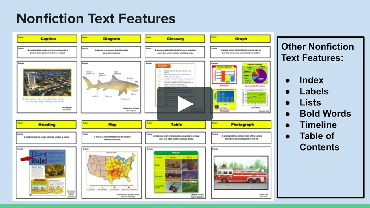 Text Features