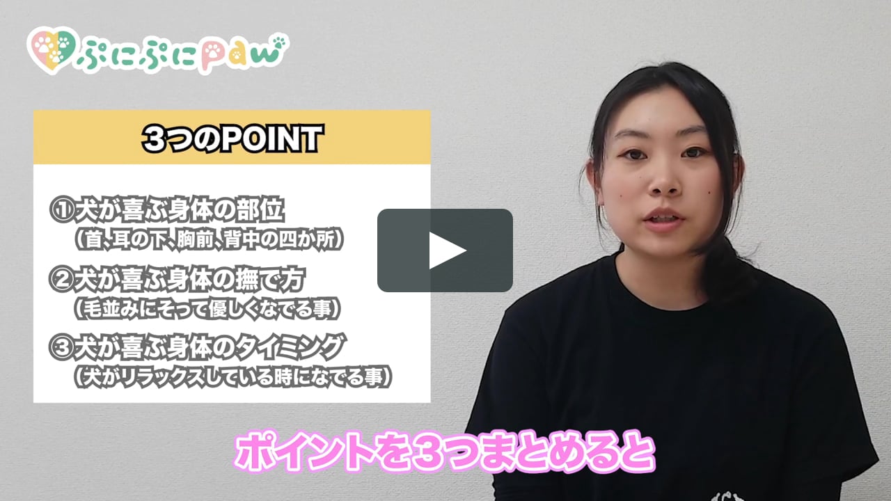 犬が喜ぶ撫で方 On Vimeo 犬が喜ぶ撫で方 On Vimeo