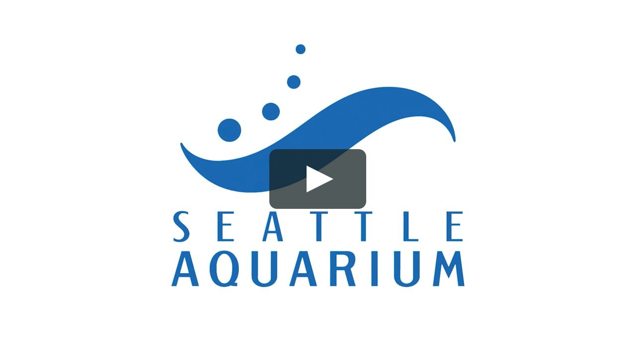 SEATTLE AQUARIUM - WORLD OCEAN DAY SIZZLE on Vimeo