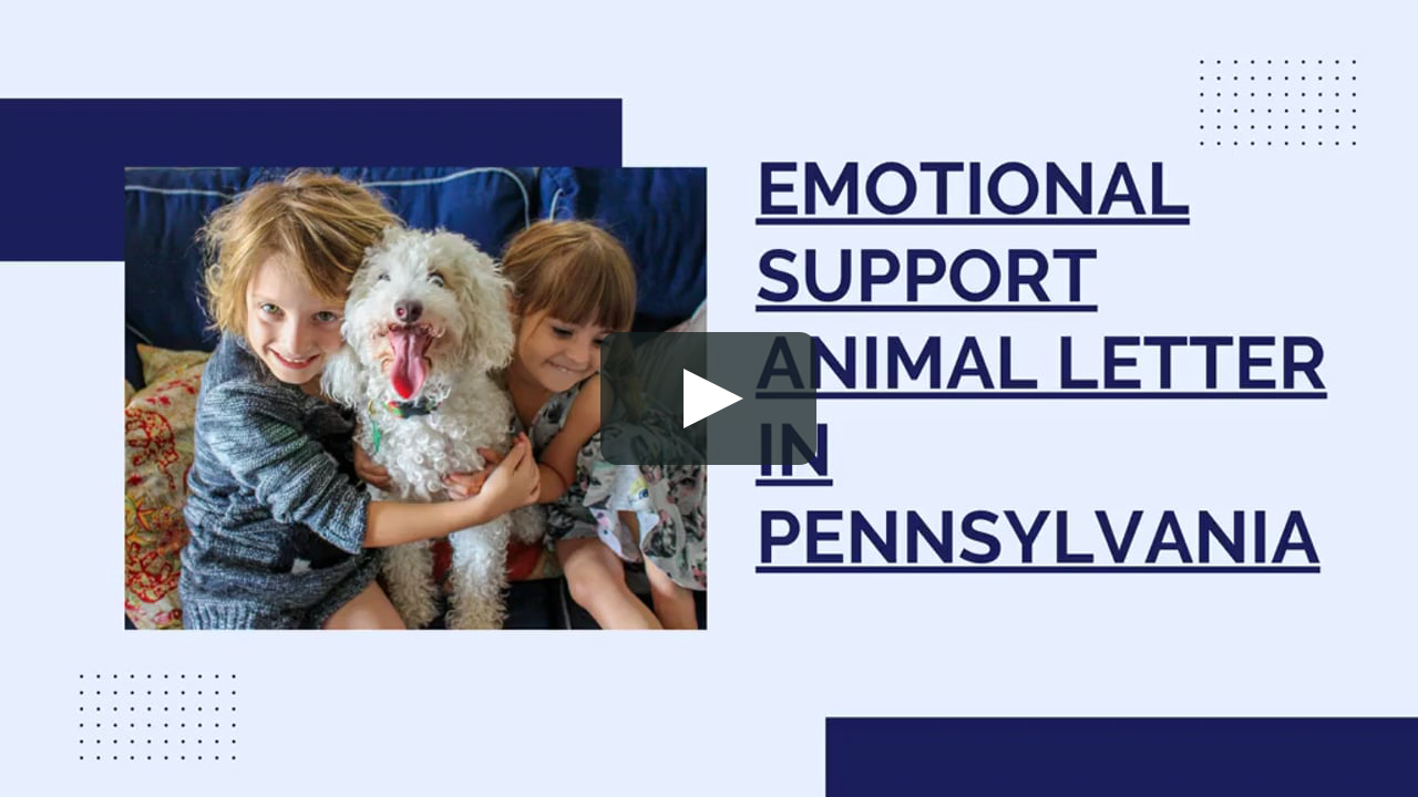 How To Get Emotional Support Animal Letter In Pennsylvania On Vimeo How To Get Emotional Support Animal Letter In Pennsylvania On Vimeo