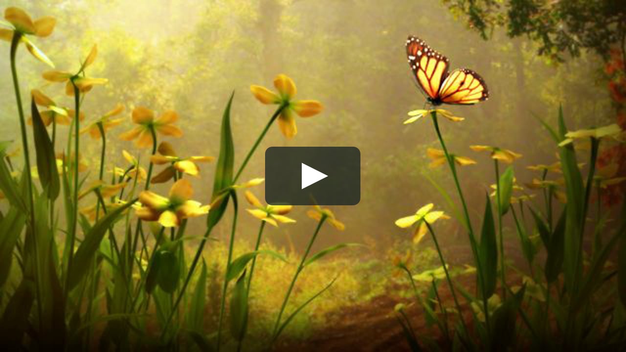 Flutterby on Vimeo