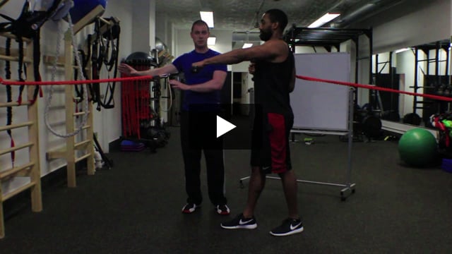 Core Anti-rotation - Opposing Chest Press and Row