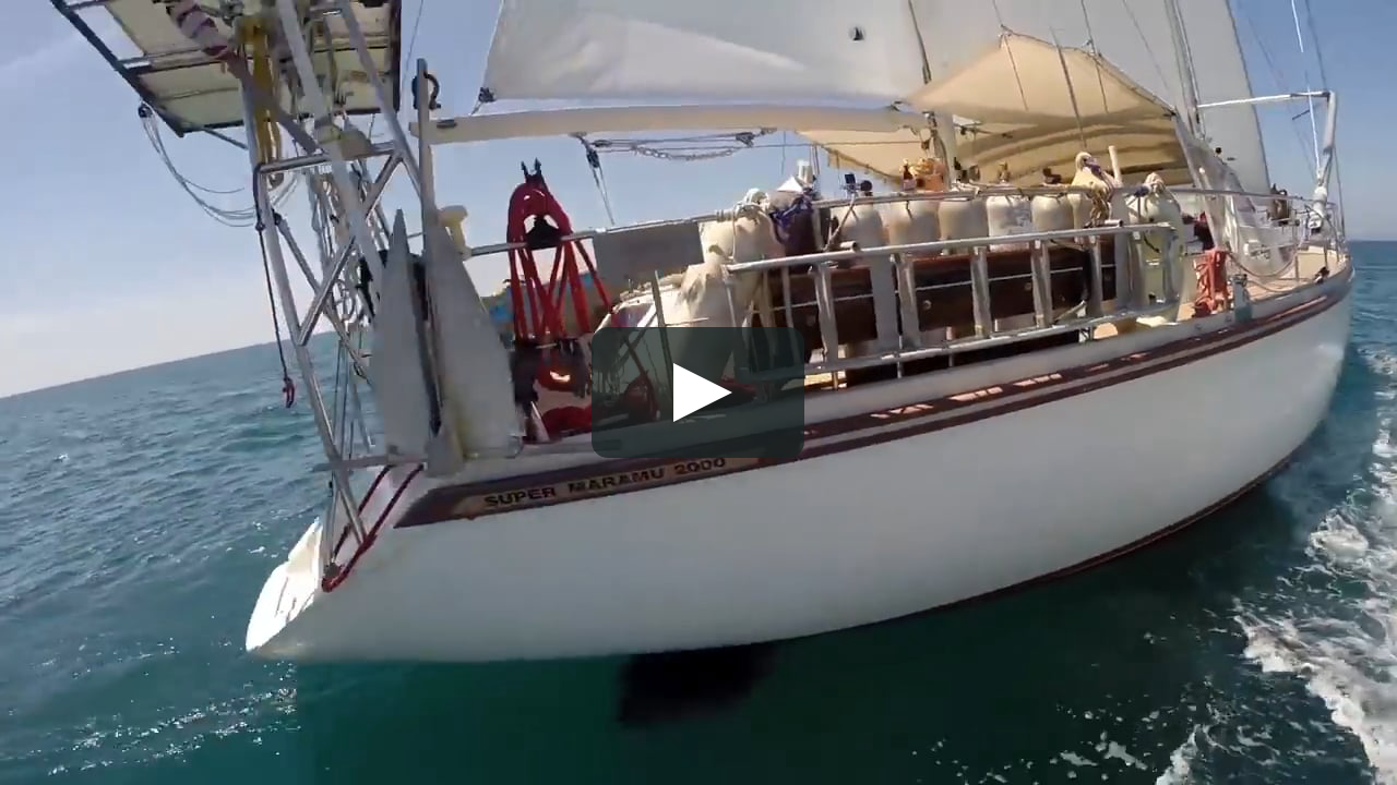 ocean 21 sailboat review