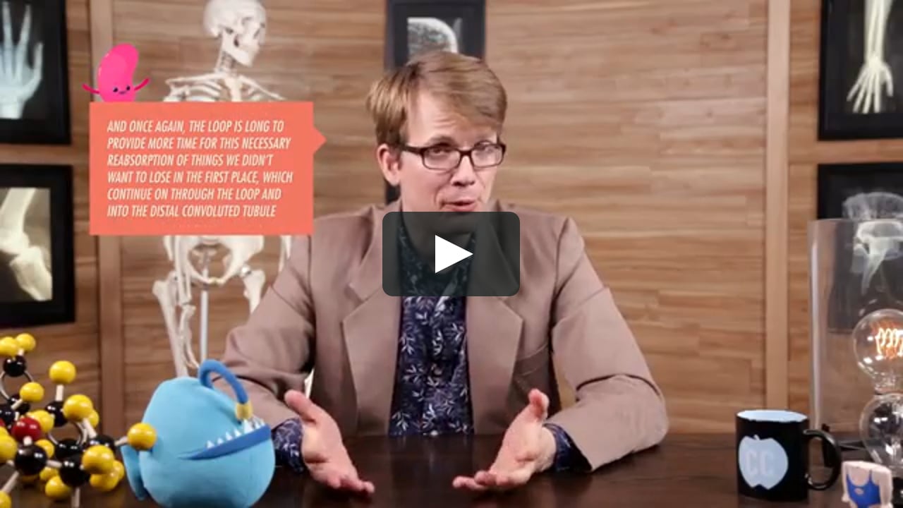 Urinary System, part 1 Crash Course A&P 38 YouTube on Vimeo