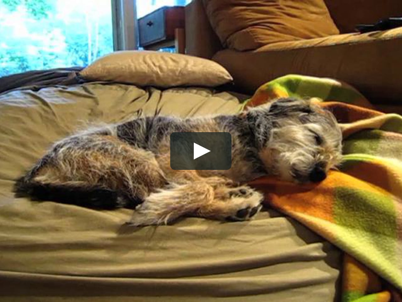 How Long Is 25 On Vimeo how-long-is-25-on-vimeo