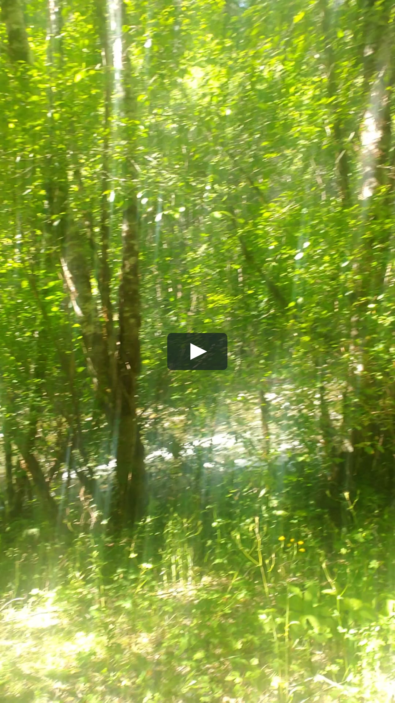 Naked hiking Willamette Forest Oregon on Vimeo