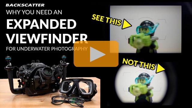 Why You Need an Expanded Viewfinder for Underwater Photography
