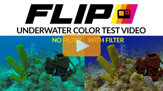 FLIP Filters | Professional Underwater Color Filters for GoPro