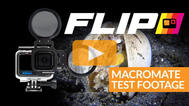 MACROMATE MINI - Get Stunning Macro Video Underwater with your GoPro Camera
