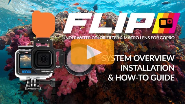 GoPro with FLIP Filters - The Best Underwater Color Filter and Macro for GoPro | System Overview, Installation, & How-To Guide