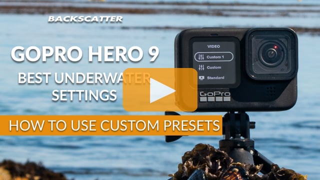 GoPro Hero 9 Best Underwater Settings | How To Use Custom Presets