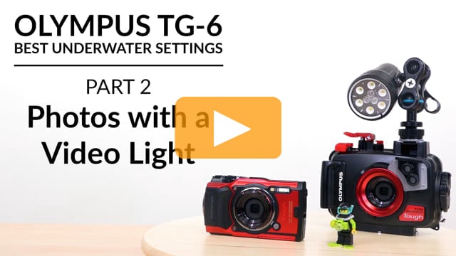Olympus TG-6 | Best Underwater Camera Settings | Part 2 - Shooting Photos with a Video Light