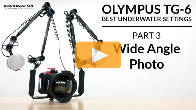 Olympus TG-6 | Best Underwater Camera Settings | Part 3 - Wide Angle Photo