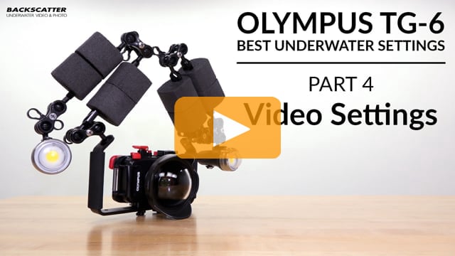 Olympus TG-6 | Best Underwater Camera Settings | Part 4 - Video Settings
