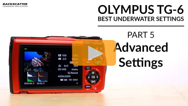 Olympus TG-6 | Advanced Settings | Best Underwater Camera Settings: Part 5