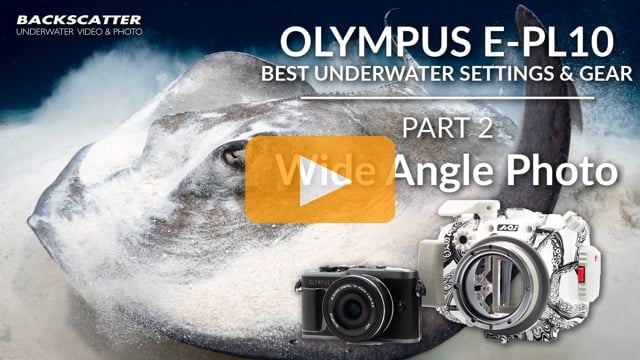 Olympus E-PL10 | Best Underwater Camera Settings | Part 2 - Wide Angle Photo