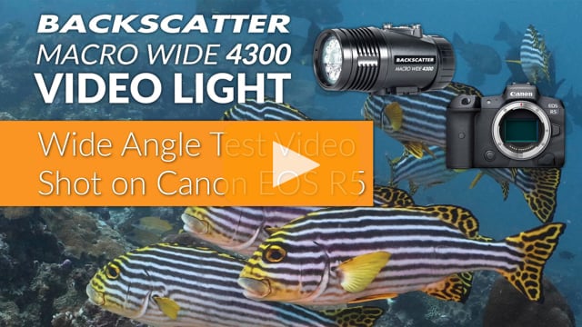Backscatter Macro Wide Video Light MW-4300 | Underwater Wide Angle Test Footage | Maldives