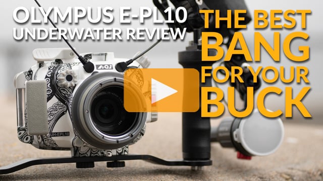 Olympus EPL-10 | Underwater Camera & Housing Review