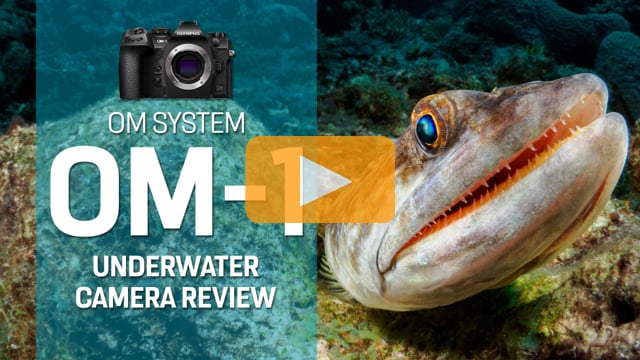 OM System OM-1 Underwater Camera Review