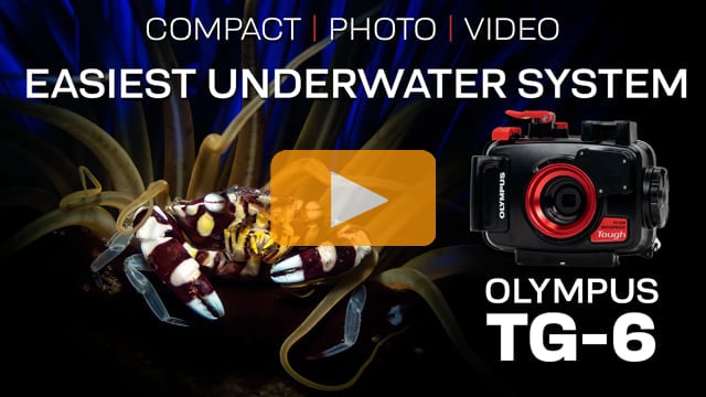 The Easiest Underwater System: Olympus TG-6