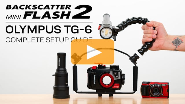 How to use Backscatter Mini Flash 2 with Olympus TG-6 | Complete Setup Guide