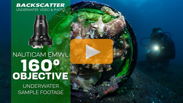 Nauticam EMWL 160° Objective | Underwater Sample Footage